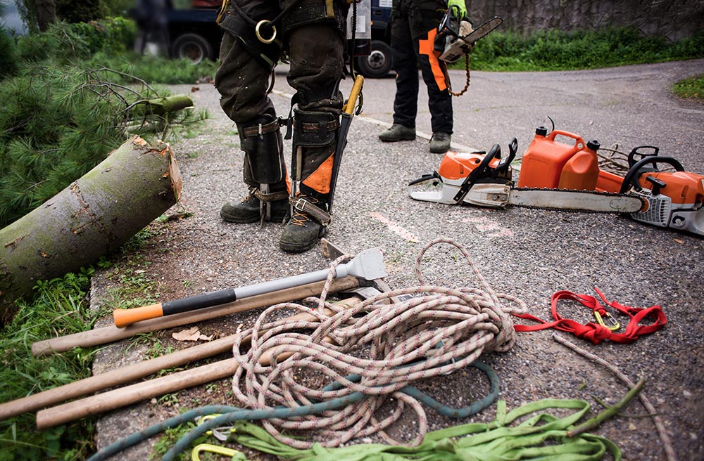 an arborist in Australia How much get paid? In demand?