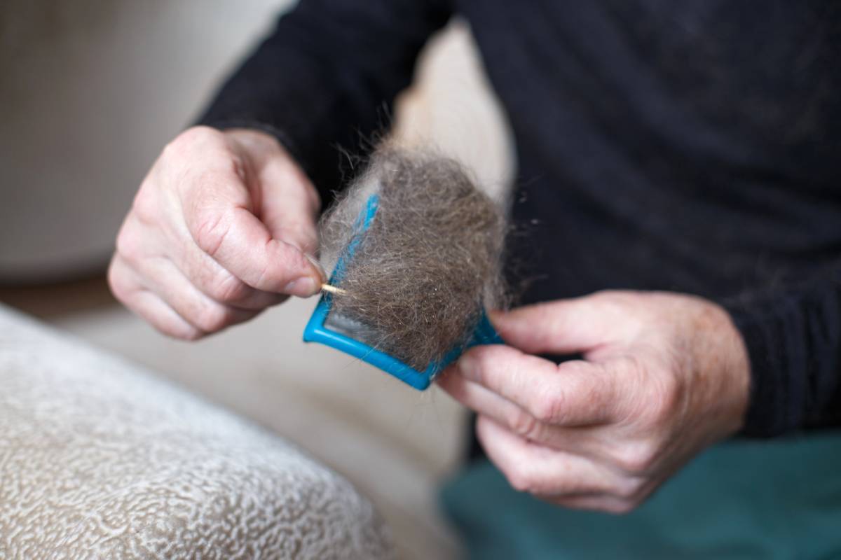 A man's hand holding the cat comb brush with gray fur