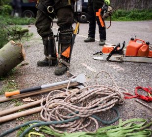 midsection-of-arborist-men-with-chainsaw-and-ropes-2021-08-27-16-14-37-utc-905x613