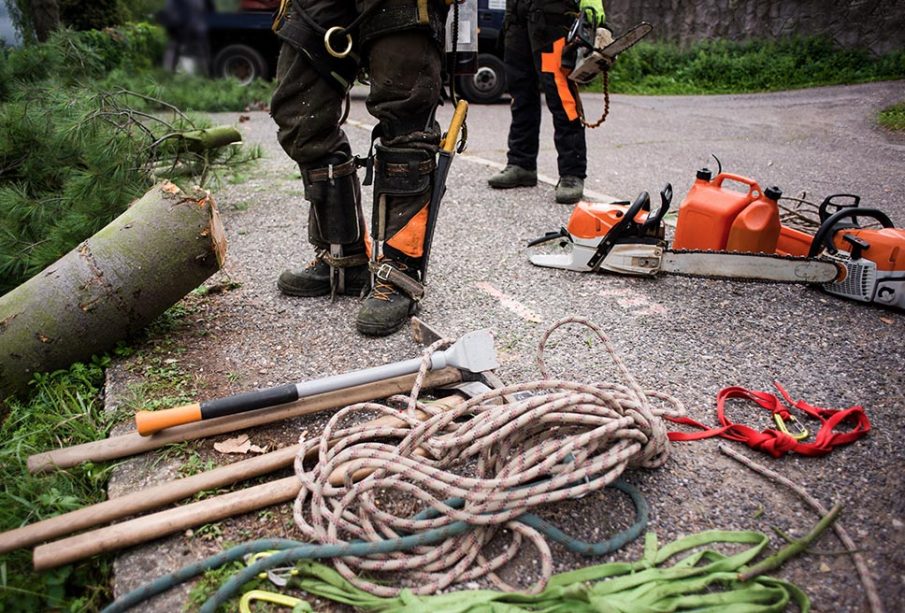 midsection-of-arborist-men-with-chainsaw-and-ropes-2021-08-27-16-14-37-utc-905x613